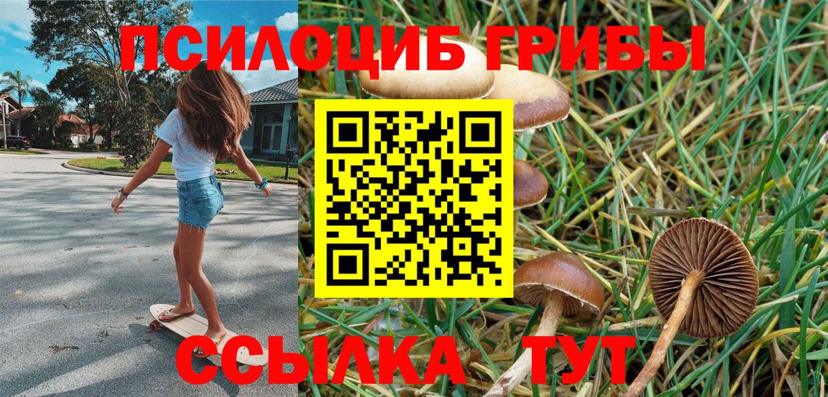 Галлюциногенные грибы мицелий Димитровград