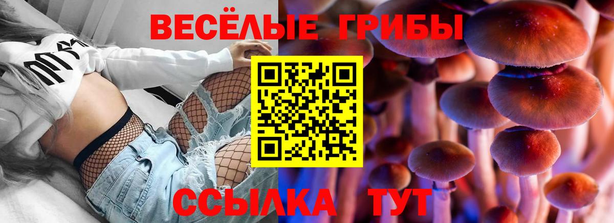 наркотики  Псилоцибиновые грибы ЛСД  Вход с VPN  Димитровград 
